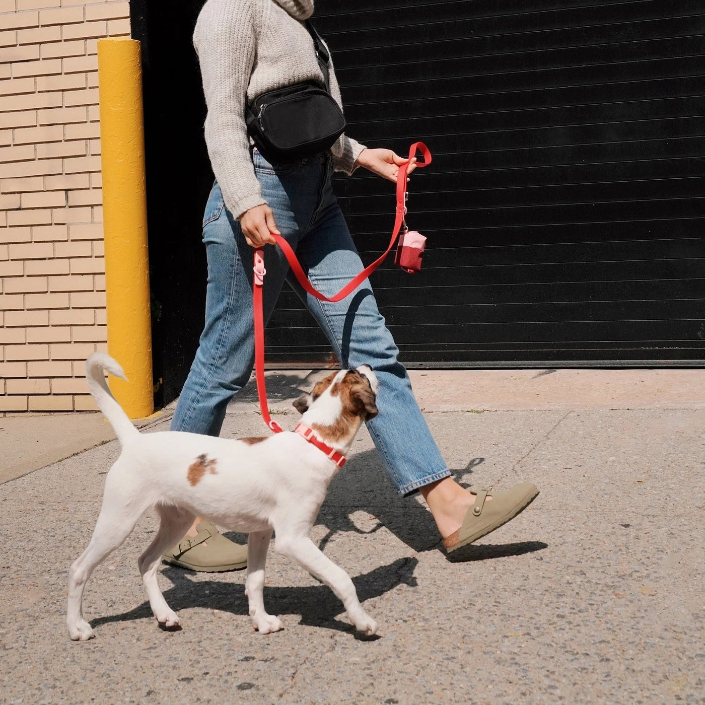 Gifts for Dog People