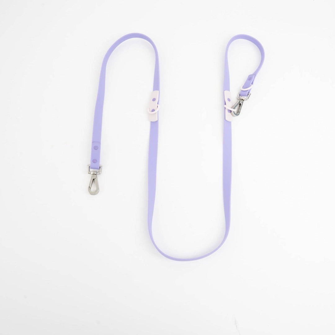 The Fritz Dog Leash: Baby Blue/Orange Standard