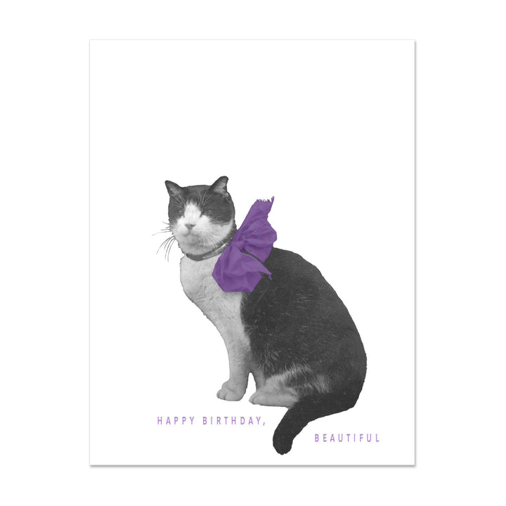Cat with Bow Happy Birthday, Beautiful Card