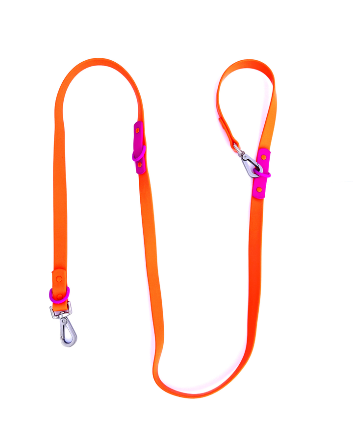 The Fritz Dog Leash | Sunset Violet: Standard