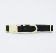 The Fritz Dog Collar : Orange mango / Small