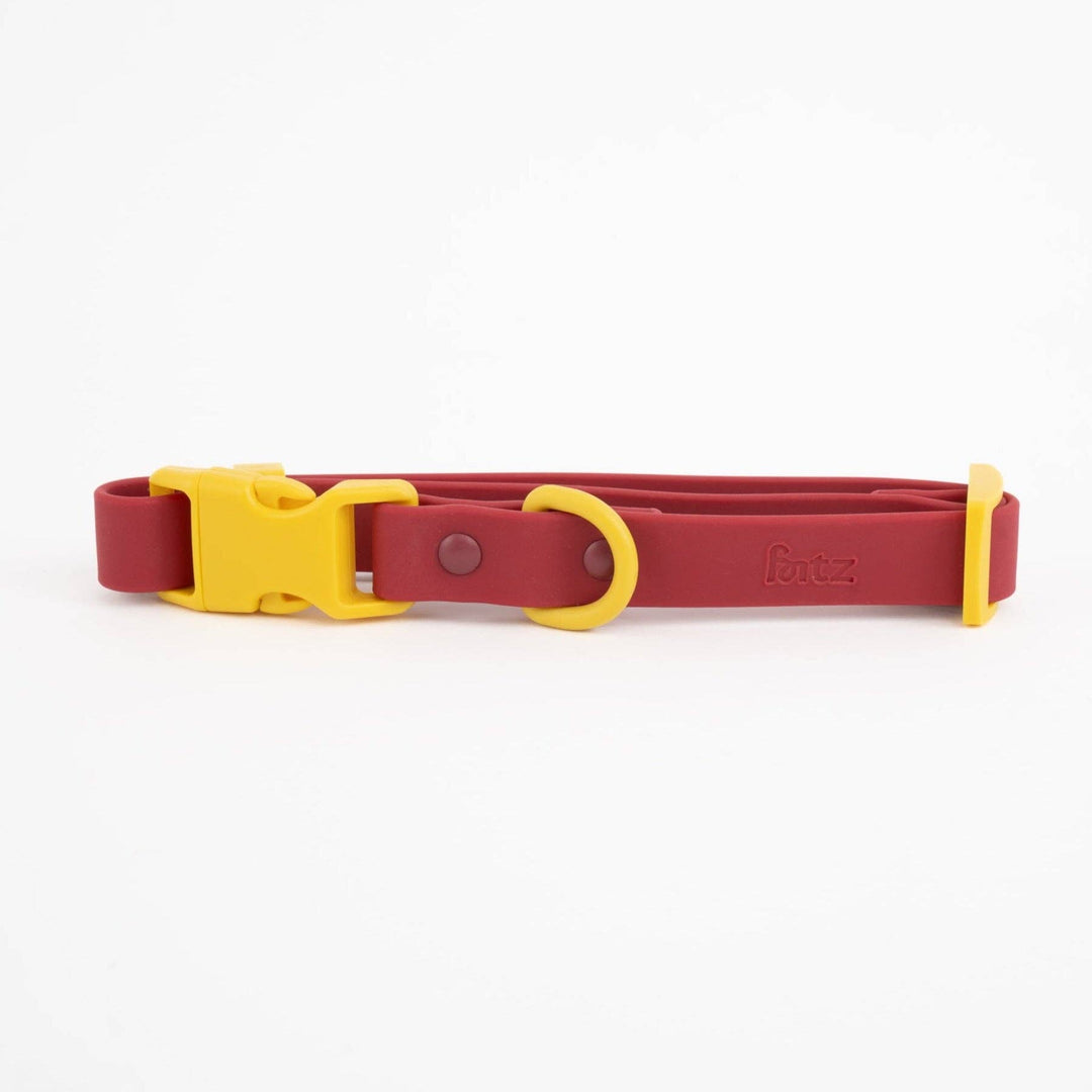 The Fritz Dog Collar : Orange mango / Small