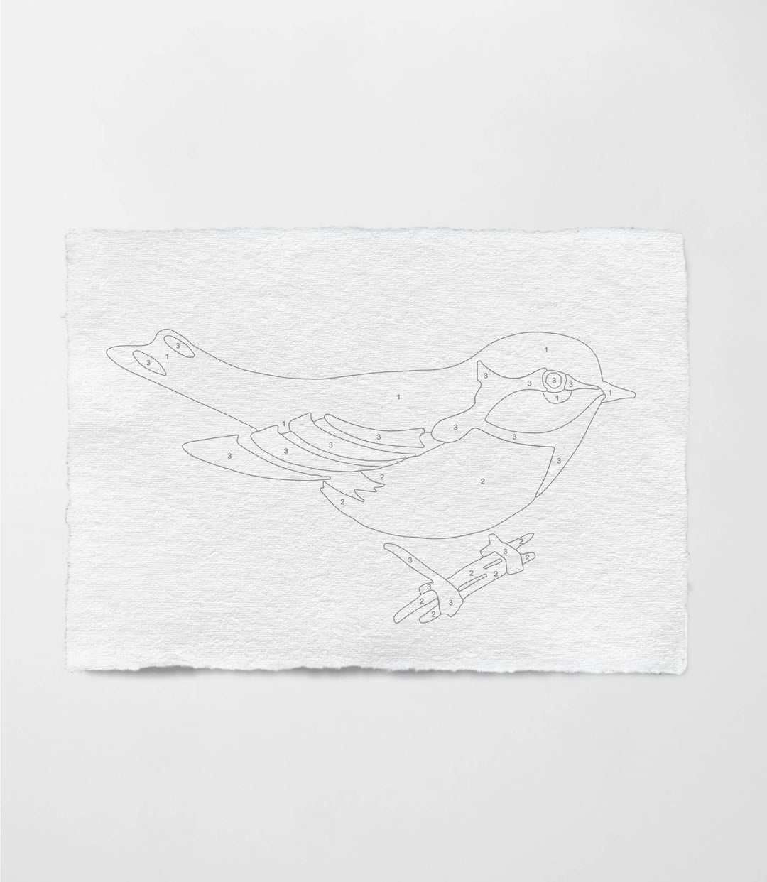 Bird Study: Goldfinch Modern Paint By Numbers Kit