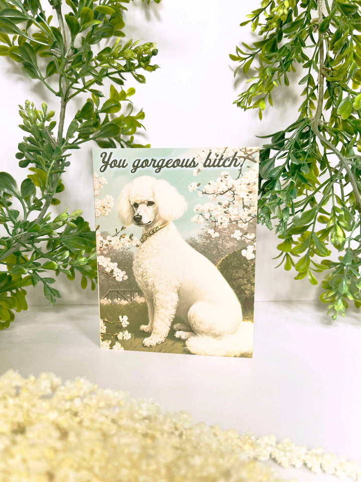 You Gorgeous Bitch Funny Dog Card - Encouragement Love