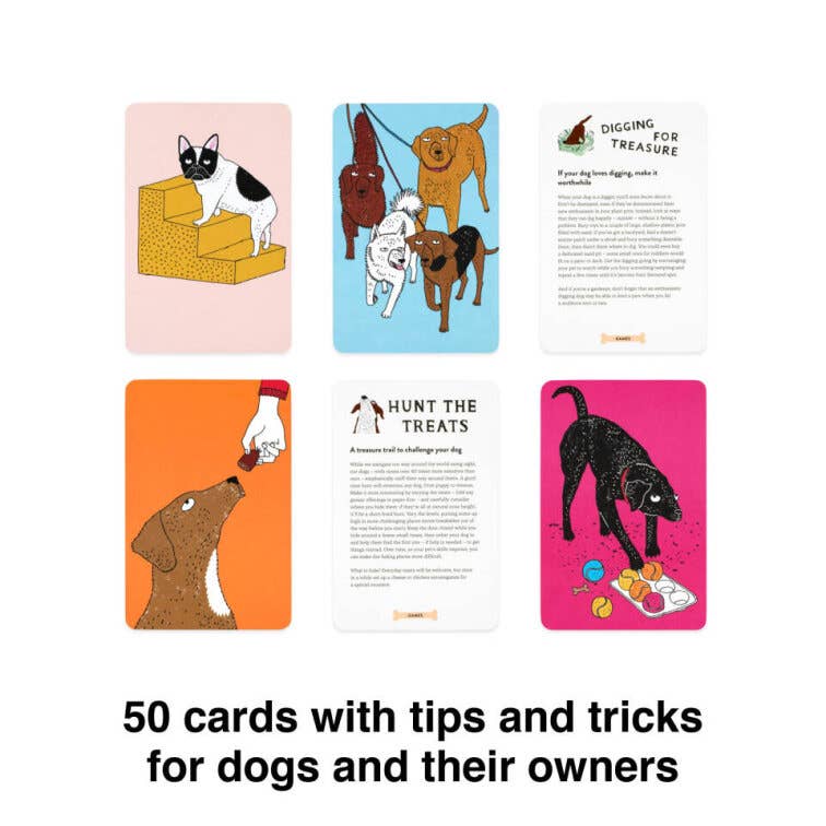 School for Dogs (and Their Humans)