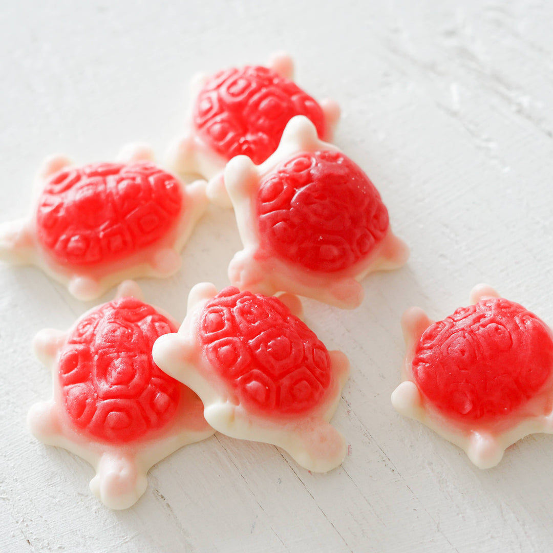 Sea Turtles - Mini Gummies