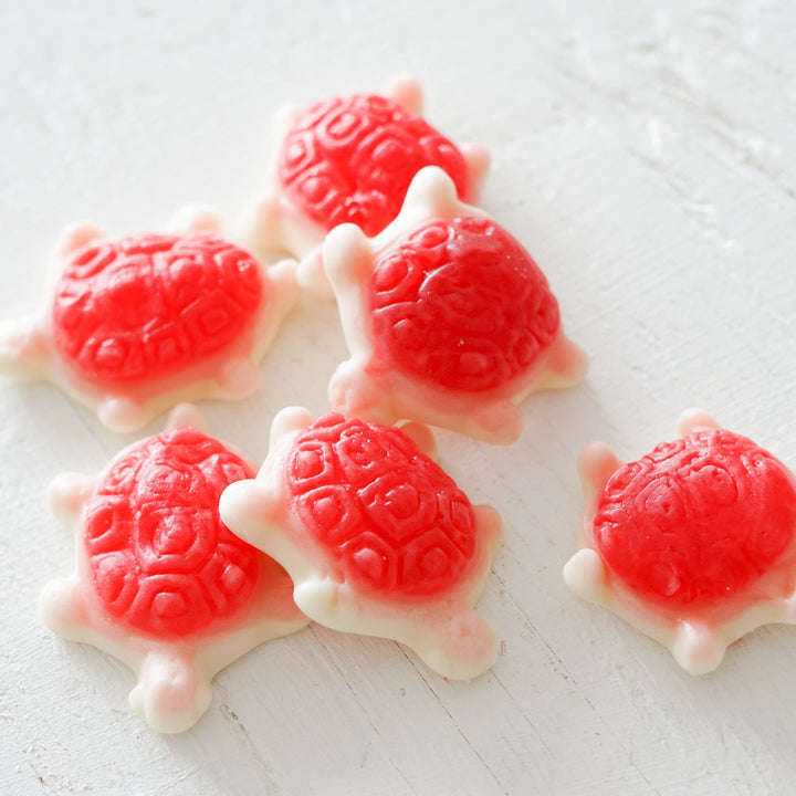Sea Turtles - Mini Gummies