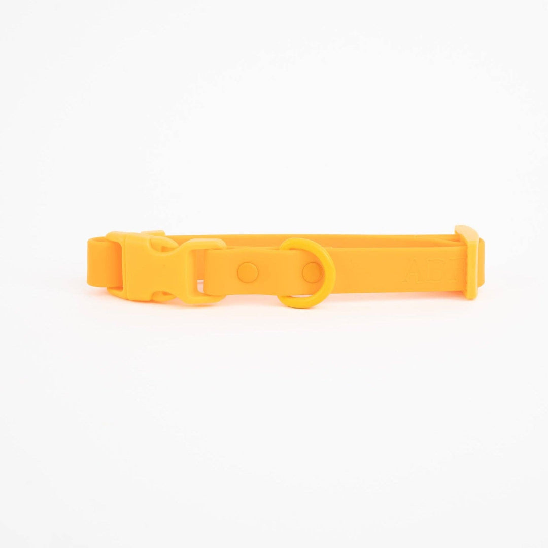 The Fritz Collar: Medium / blue orange