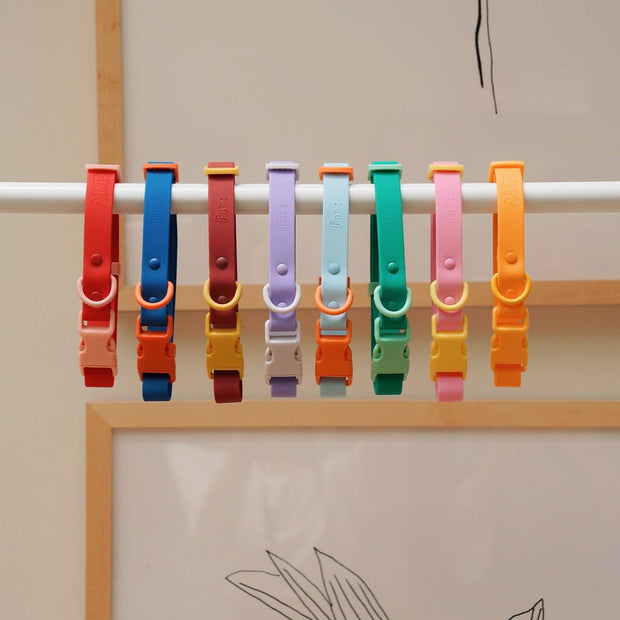 The Fritz Dog Collar : Orange mango / Small