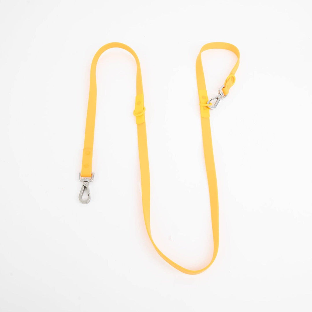 The Fritz Leash: Blue/Orange-Standard