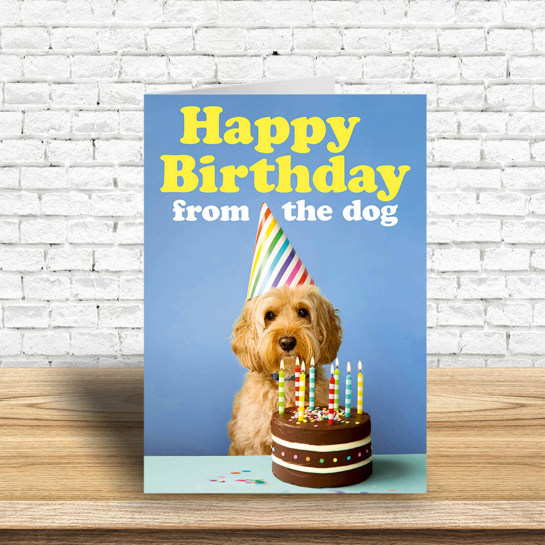 Happy Birthday from the Dog Greeting Card