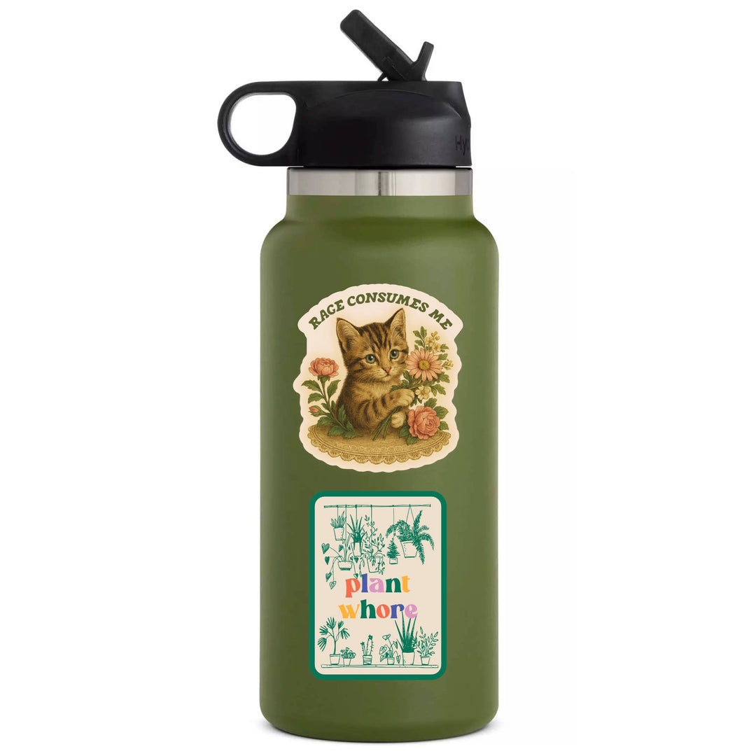 Feisty Kitty Cat Sarcastic Cute High Quality Vinyl Sticker