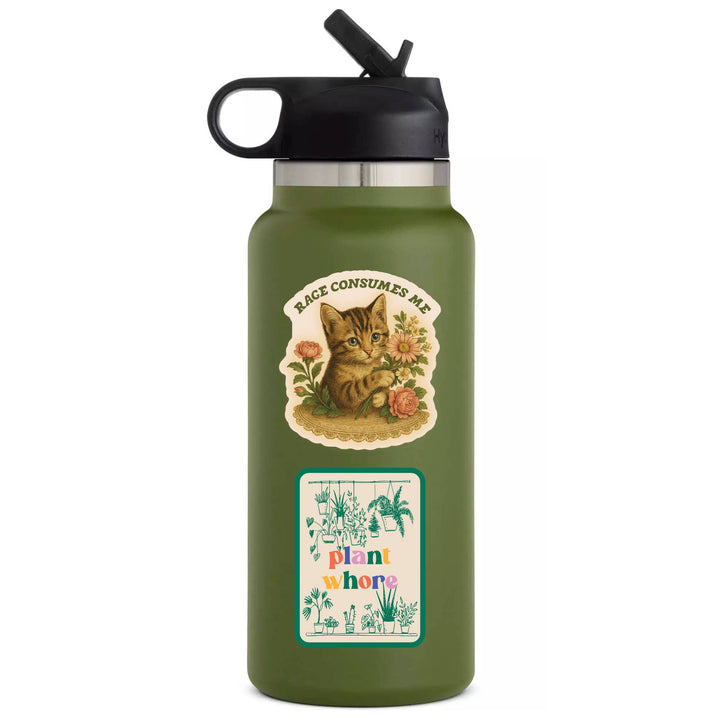 Feisty Kitty Cat Sarcastic Cute High Quality Vinyl Sticker