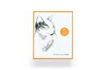 For the Love of Cats: 20 Individual Notecards and Envelopes