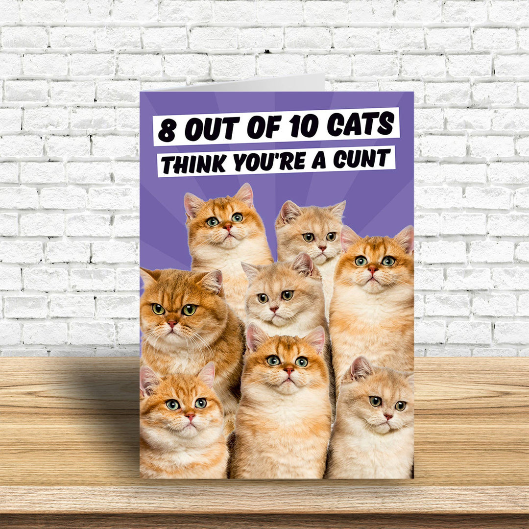 8 out of 10 Cats Greeting Card
