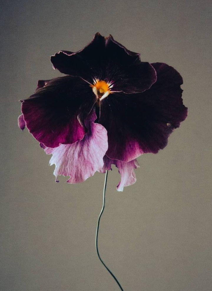 Moody Blooms - Mini Candle