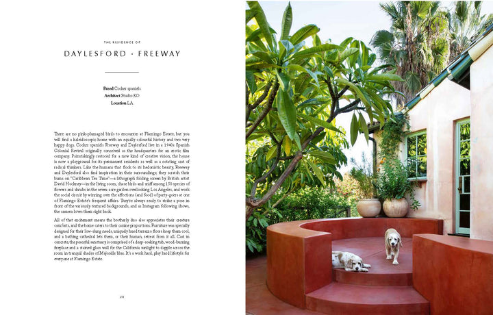 Resident Dog (Volume Two)