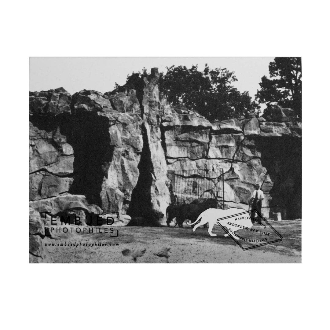 Lion Missing You Rather Fiercely Card