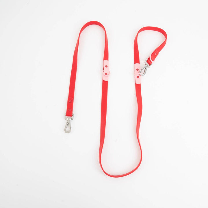 The Fritz Dog Leash: Baby Blue/Orange Standard