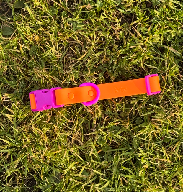 The Fritz Dog Collar | Sunset Violet: Medium