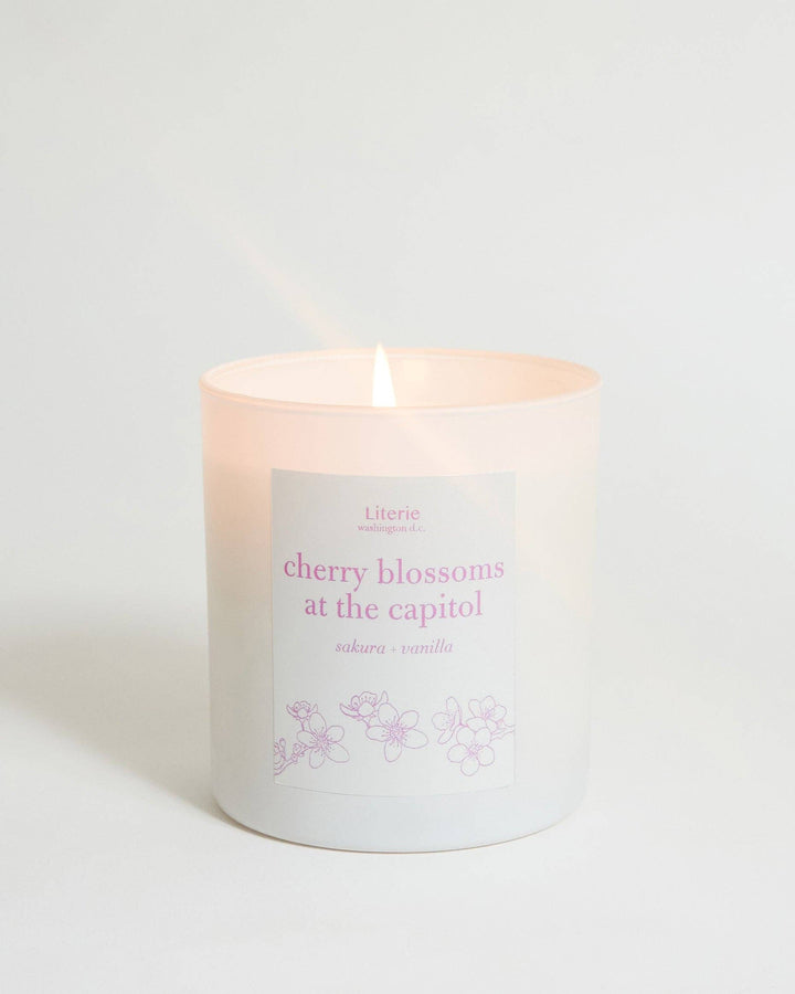 Cherry Blossoms at the Capitol