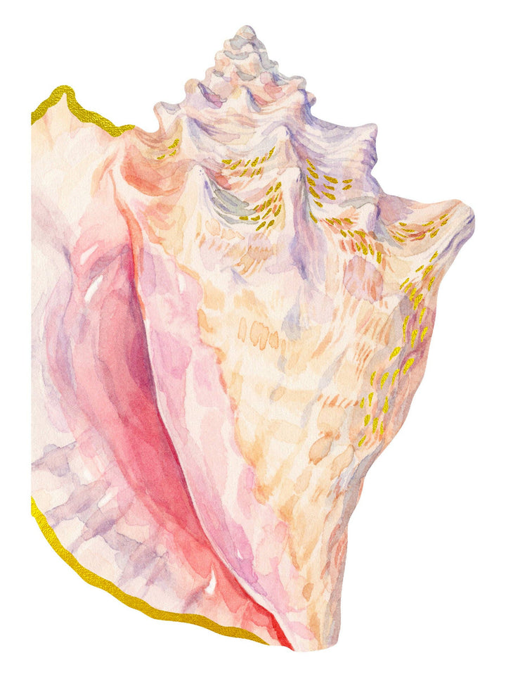 Shell Notes