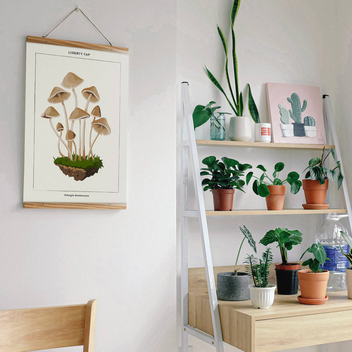 Mushroom Botanical | Modern Paint By Numbers Kit