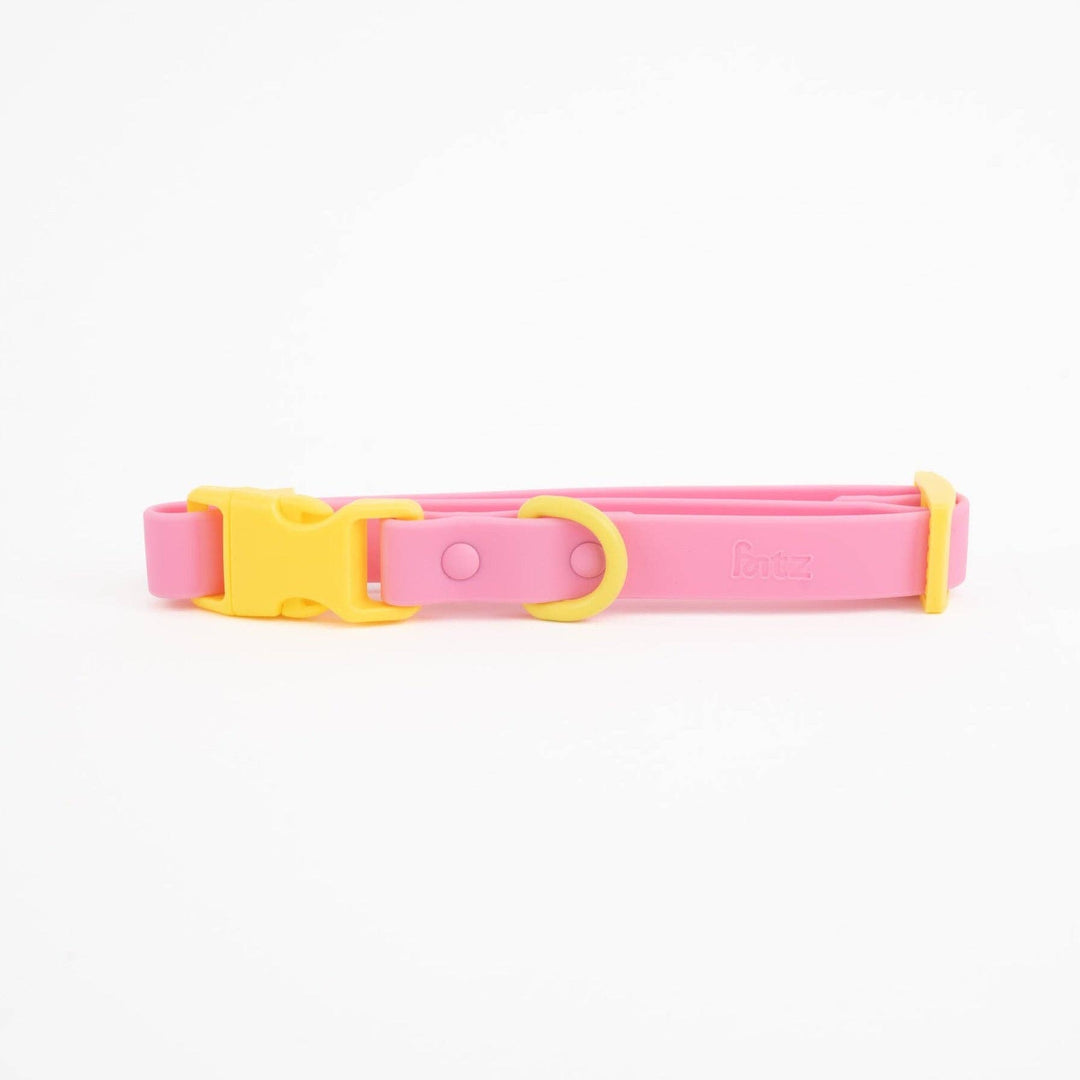 The Fritz Dog Collar : Orange mango / Small