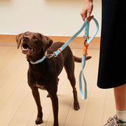 The Fritz Dog Leash | Leash wit Handle | Multi Dog Leash: Liberty green / Standard