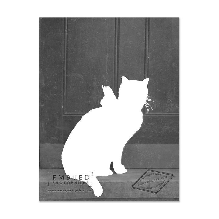 Cat with Bow Happy Birthday, Beautiful Card