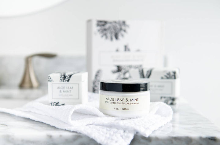 Aloe Leaf & Mint Botanical Gift Set