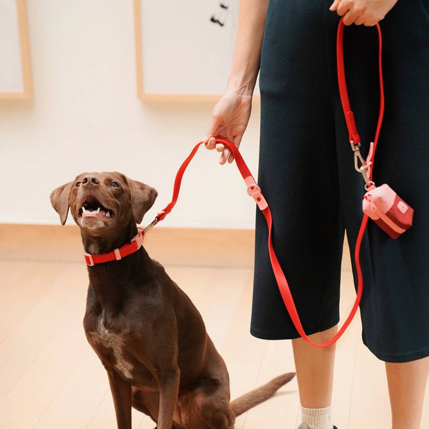The Fritz Dog Leash | Leash wit Handle | Multi Dog Leash: Orange mango / Small