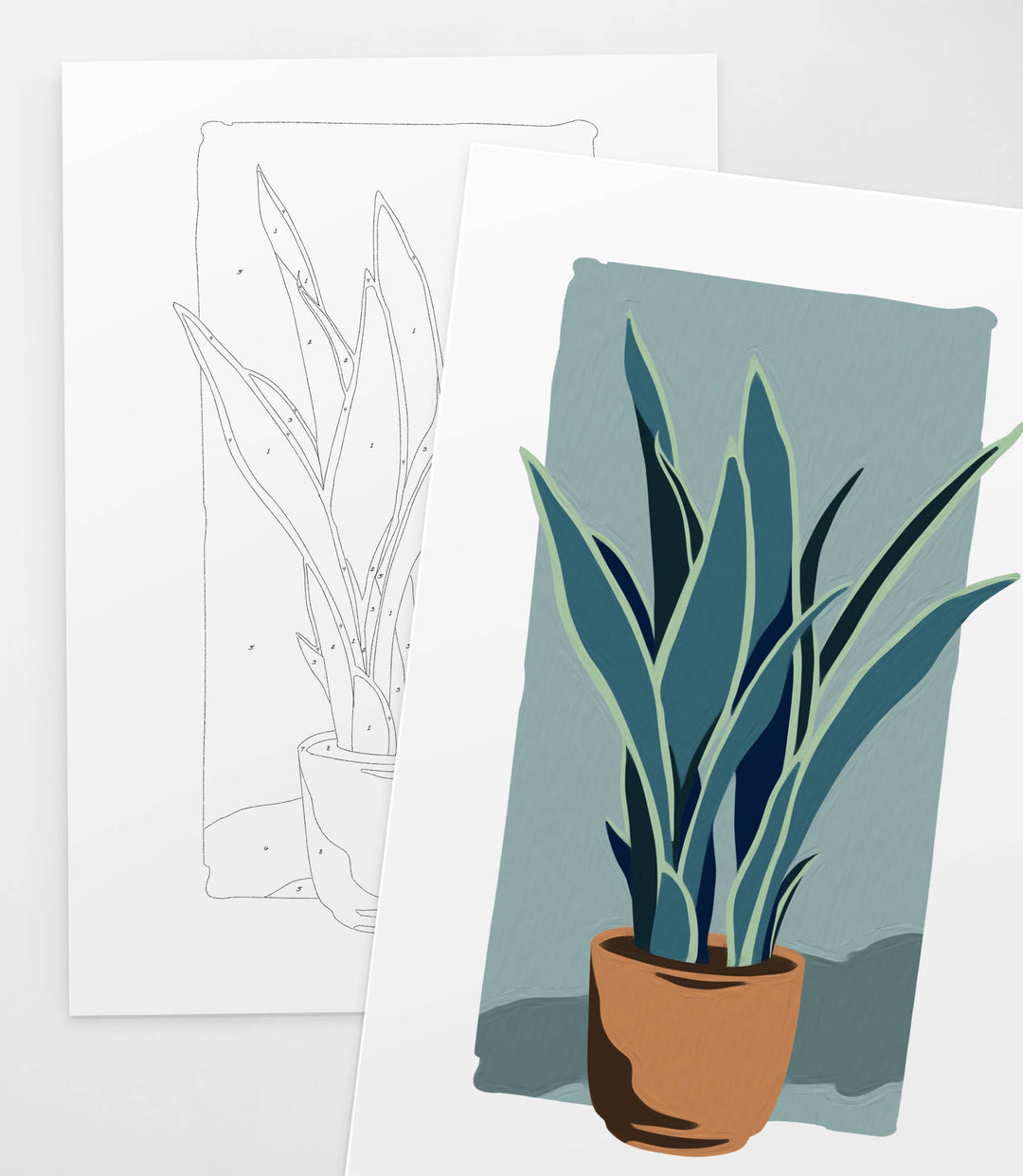Potted Snake Plant | Modern Paint By Numbers Kit