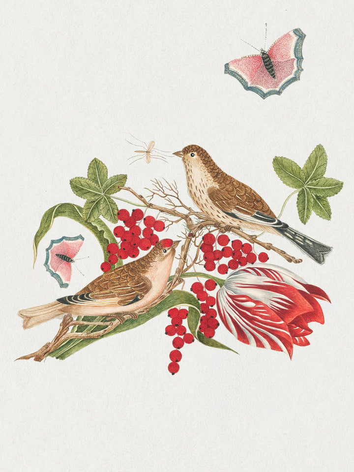 Flowers, Birds & Butterflies Celebrations Boxed Notecards