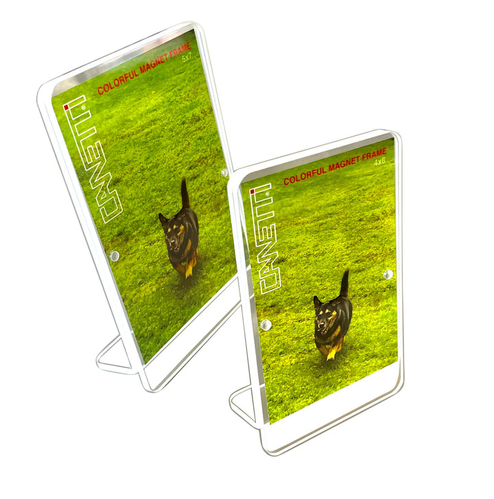 Colorful Magnet Frame 5"x7": White