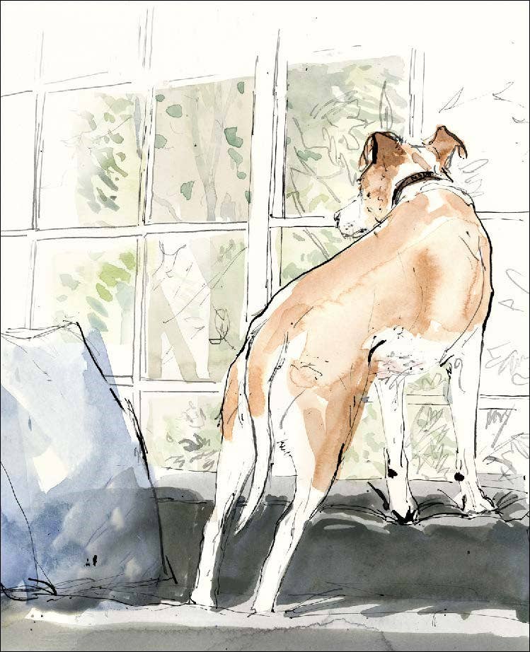 For the Love of Dogs: 20 Individual Notecards and Envelopes