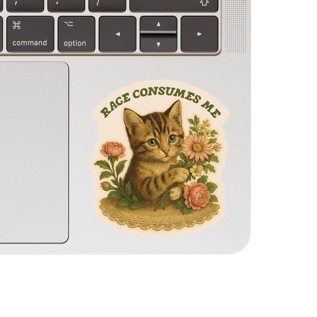 Feisty Kitty Cat Sarcastic Cute High Quality Vinyl Sticker