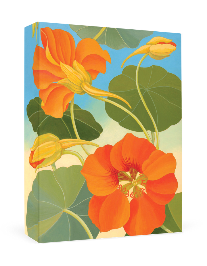 Siri Schillios: Nasturtium Boxed Thank You Notes