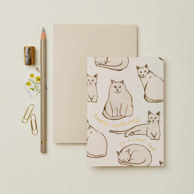 Cats 'Happy Birthday to a Cool Cat' Card