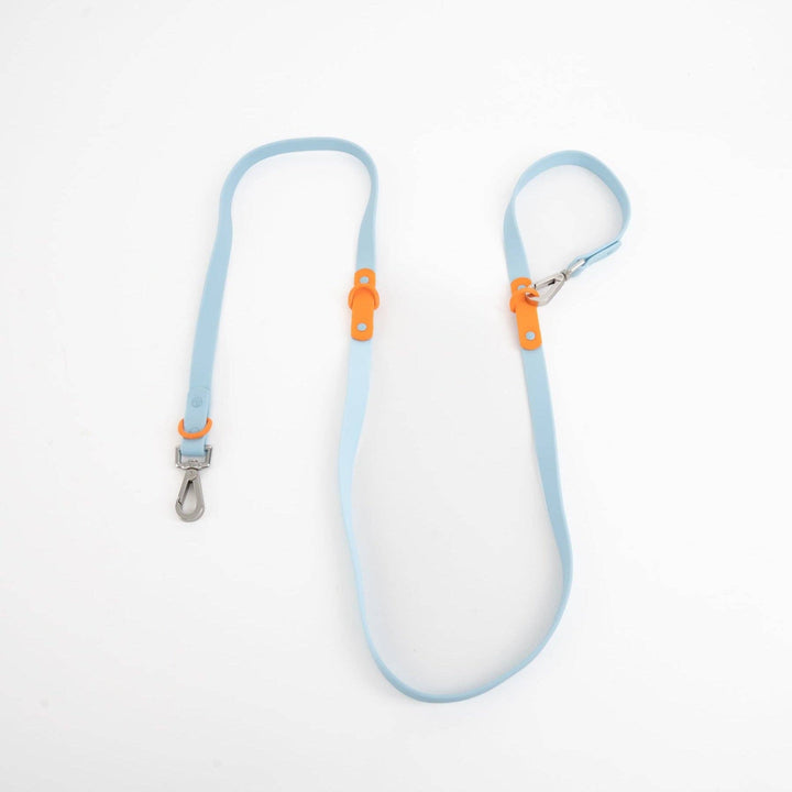 The Fritz Leash: Blue/Orange-Standard