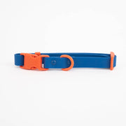 The Fritz Dog Collar : Orange mango / Small