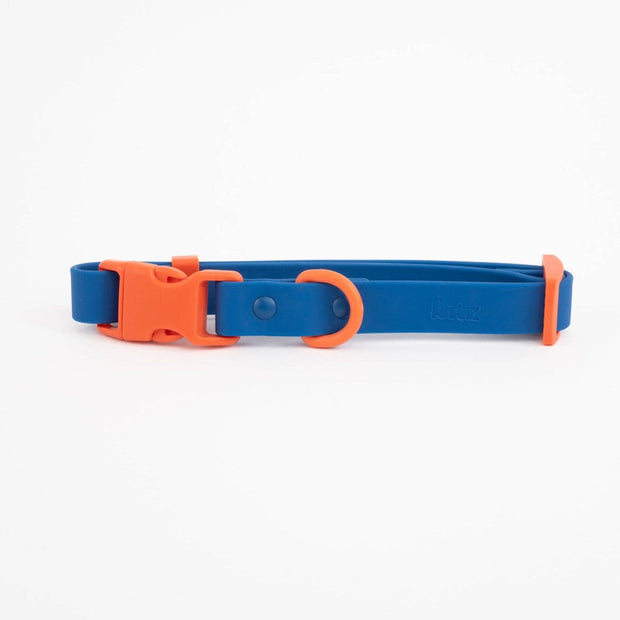 The Fritz Dog Collar : Orange mango / Small