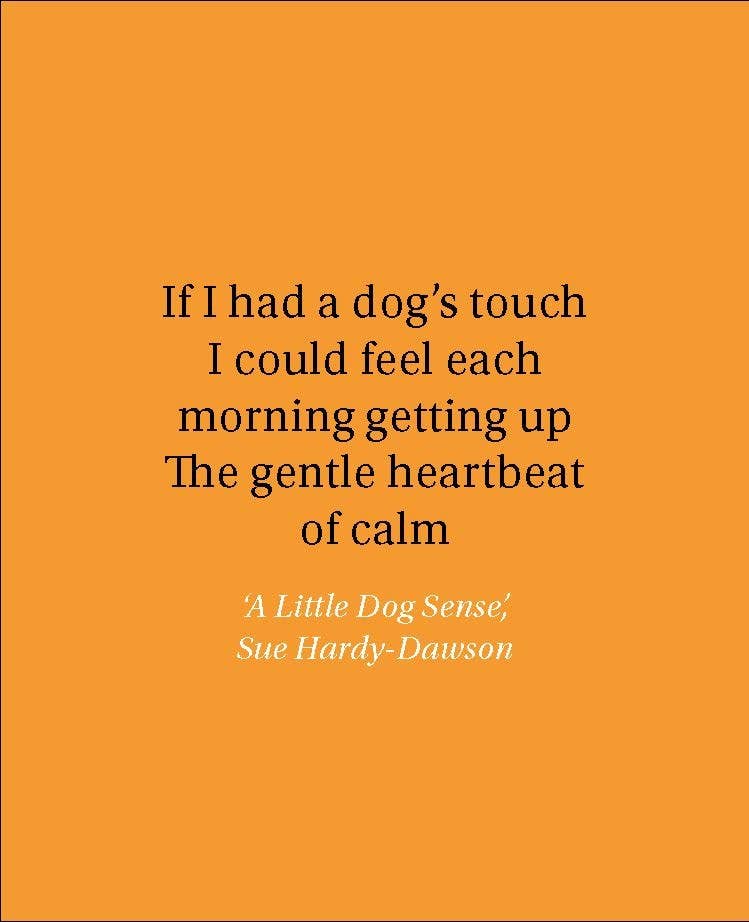 For the Love of Dogs: 20 Individual Notecards and Envelopes