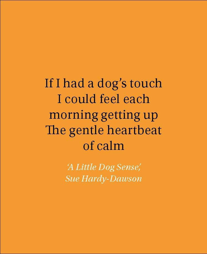 For the Love of Dogs: 20 Individual Notecards and Envelopes