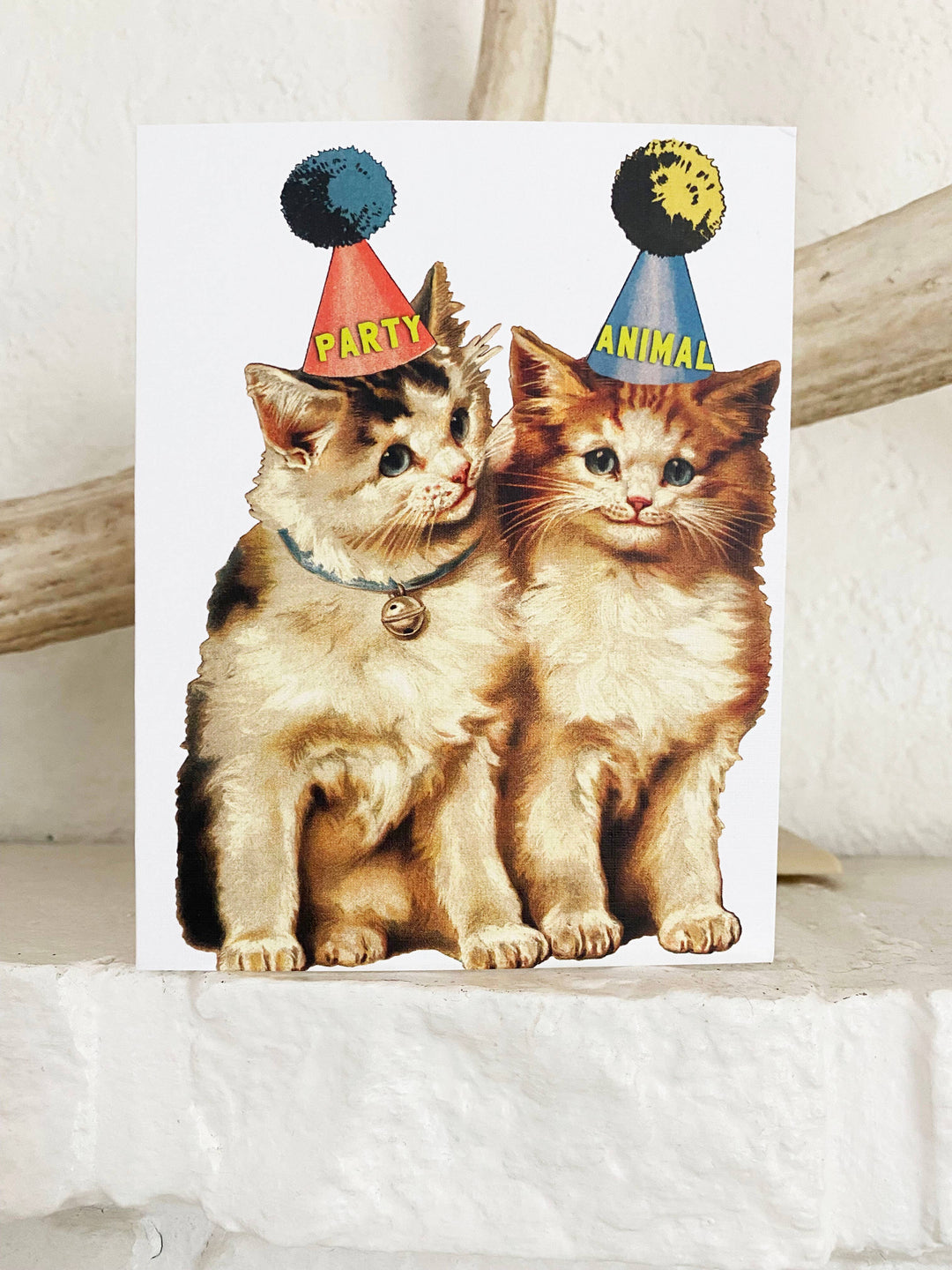 Party Cats Funny Birthday or Celebration Card