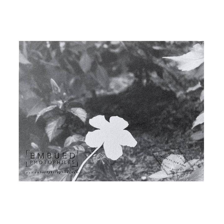 Hibiscus Thank You Card