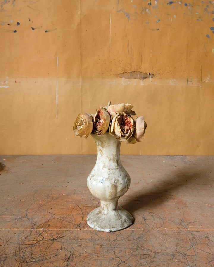 Joel Meyerowitz: Morandi's Objects