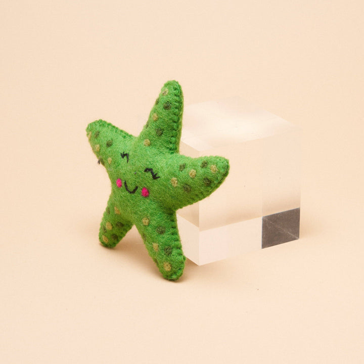 Starfish Squeaker Toy