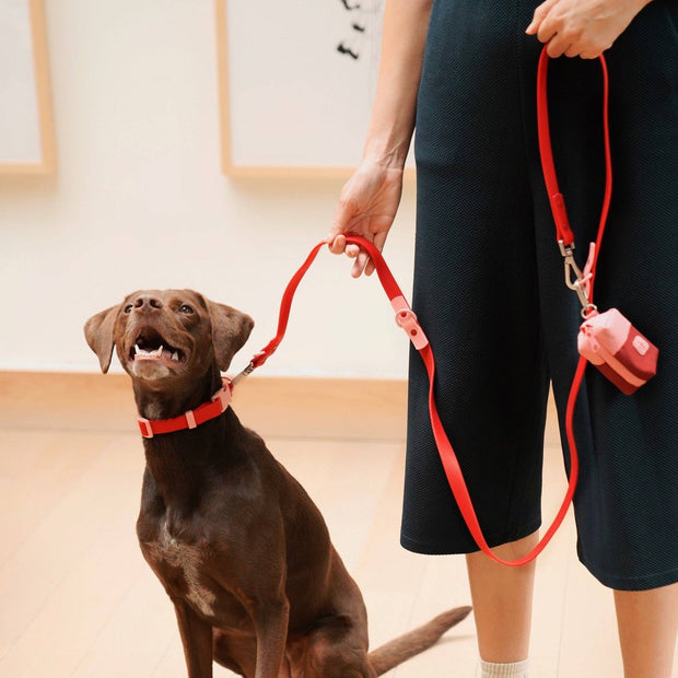 The Fritz Dog Collar : Pink lemonade / Small