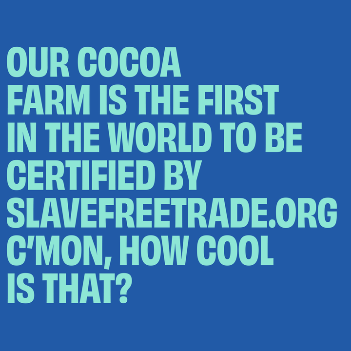 UP & UP Chocolate: Fresh Wild Mint Dark Chocolate Bar